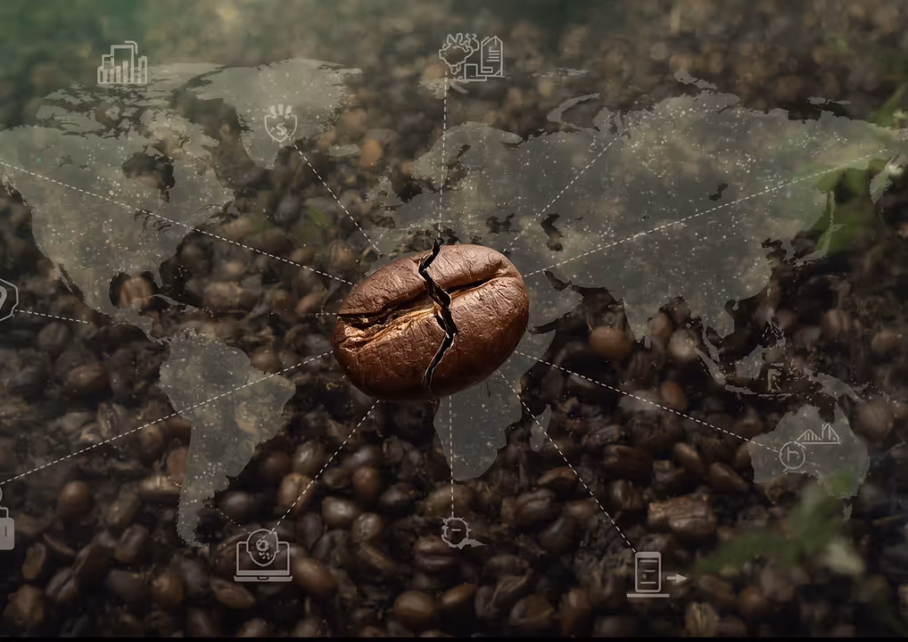 Coffe infografic
