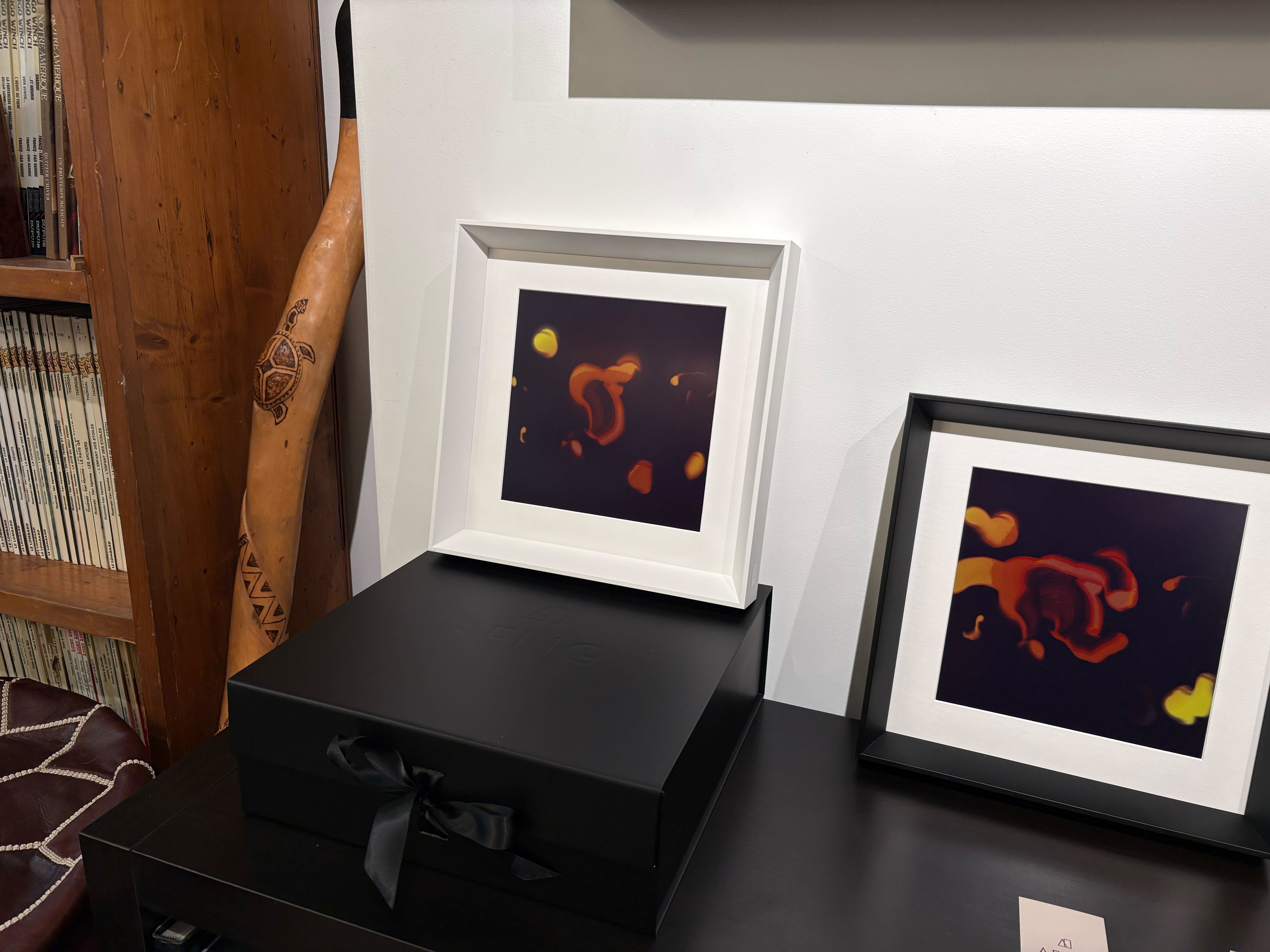 AELIG frames showcasing