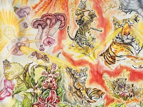 The Eye of The Tiger